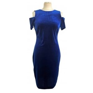 Calvin Klein Blue Velvet dress